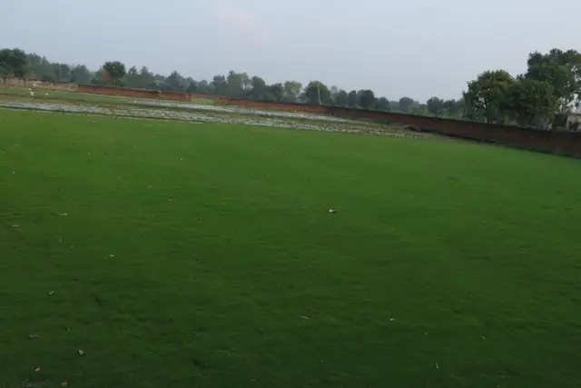 Natural grass lawn by NCR Grass, photo 6