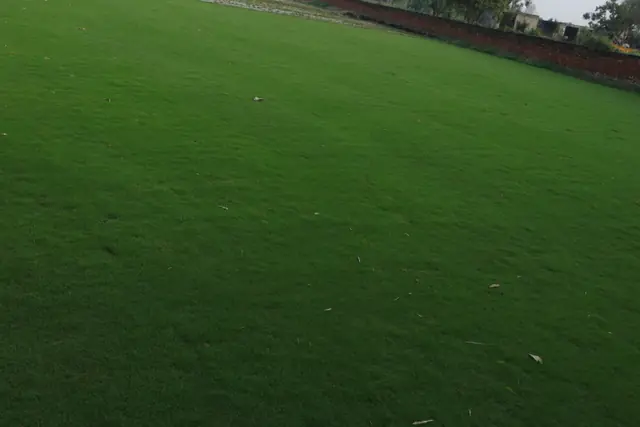 Natural grass lawn by NCR Grass, photo 7
